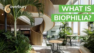 What is biophilia [upl. by Lello325]