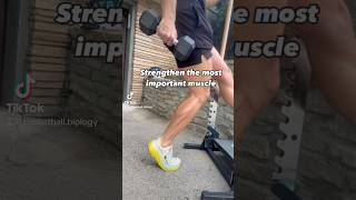 Strengthen the most important muscle motivation mobility kneepain sports knee [upl. by Etnahsa470]