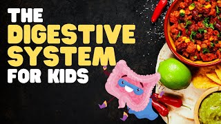 The Digestive System for Kids  A fun engaging overview of what happens when we eat [upl. by Happ833]