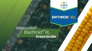 Baythroid® XL Insecticide [upl. by Henigman]