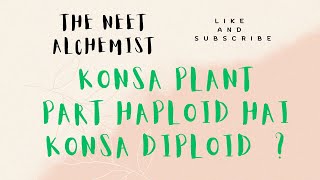 Ploidy of different plant parts now no more confusion Konsa haploid hai Konsa diploid [upl. by Seluj]