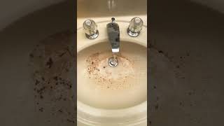 Clearing a double sink stoppage plumbing plumber topsnake [upl. by Odla719]