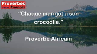 Chaque marigot a son crocodile  Proverbe Africain [upl. by Arocahs]