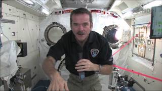 Chris Hadfield answers questions live from space with the Governor General of Canada [upl. by Arbma859]