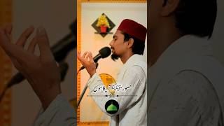 सहारा मुझे चाहिए ﷺ shortvideo [upl. by Alekin]