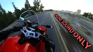 Ducati Panigale V4s Top Speed [upl. by Kariotta]