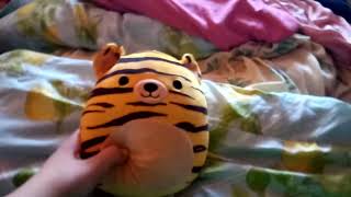 Tina The Tiger Squishmallow Toy Review [upl. by Oswal]