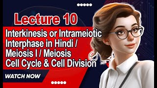 Interkinesis or Intrameiotic Interphase in Hindi  Meiosis I  Meiosis II Cell Cycle amp Cell Division [upl. by Aropizt542]