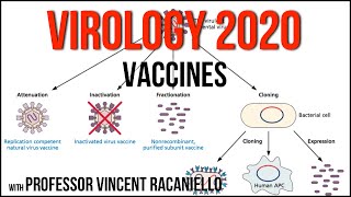 Virology Lectures 2020 19 Vaccines [upl. by Bully]