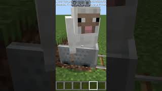 Killing sheep but at what cost shorts trending minecraft shortsfeed gaming subscribe [upl. by Arakaj832]