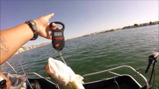 Bass fishing at silverlakes [upl. by Lombardo]