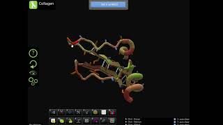 Foldit Educational Mode Tutorial Collagen [upl. by Nalym372]