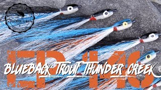 Tying a Blueback Trout Thunder Creek Minnow Fly Pattern Ep146 PF piscatorFlies [upl. by Ettennad]