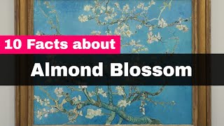 Van Gogh Almond Blossom  10 Interesting Facts About Almond Blossom [upl. by Ynnol434]