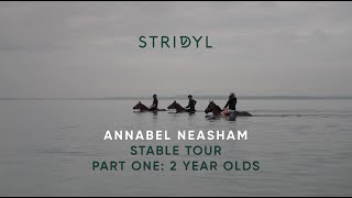 Stable Tour with Annabel Neasham 2YearOlds Sires to follow and life as a trainer [upl. by Tavi]