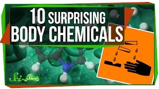 10 Surprising Chemicals Your Body Makes [upl. by Herald577]