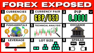 Forex Trading For Beginners FREE FULL COURSE [upl. by Ennaeirb328]