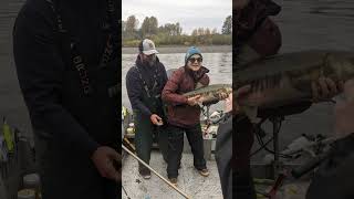 Salmon Fishing On The Satsop River [upl. by Mannes189]