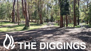 The Diggings Campground  Crediton State Forest Queensland [upl. by Trudie385]