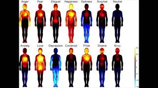 RELEASE  DELETE PSYCHOSOMATIC RESPONSES  RELEASE TRAPPED EMOTIONS MORPHIC FIELD [upl. by Adabelle]