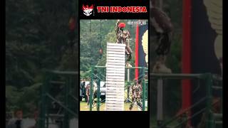 TNI INDONESIA tniad tnial tniau [upl. by Mraz]