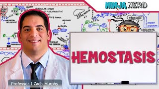 Hematology  Hemostasis Coagulation Cascade [upl. by Ettennahs]