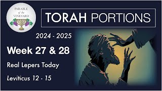 Torah Portion Week 27 amp 28  Leviticus 12  15 Lepers In The Assembly Today 2024  2025 [upl. by Rudie]