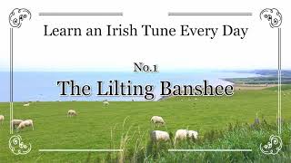 001 The Lilting Banshee Double Jig A Dorian Learn an Irish Tune Every Day [upl. by Naashom646]