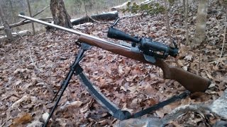 Squirrel Hunting Ruger 1022 Stainless Long Barrel And Filming With My Panasonic HCW850 By KVUSMC [upl. by Aldredge]