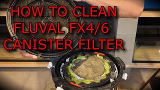 How To Clean Fluval FX4 6 Canister Filter [upl. by Charlene]