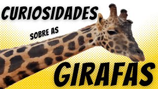 Curiosidades sobre as girafas [upl. by Nazler178]