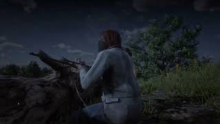 Marybeth and Seans Stage Coach Robbery  Side Mission  Red Dead Redemption 2 [upl. by Newby404]