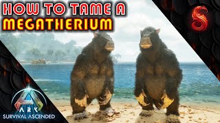 ARK SURVIVAL ASCENDED HOW TO TAME A MEGATHERIUM [upl. by Leede69]