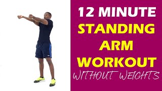 12 Minute Standing Arm Workout Without Weights  Tone Arms and Shoulders [upl. by Modeerf]