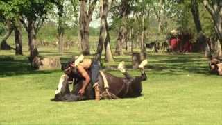 Doma India de Caballos en Argentina [upl. by Eldwun]