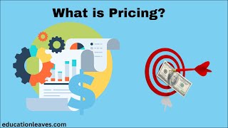 What is Pricing in marketing  Pricing strategies [upl. by Lladnyk699]