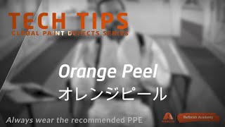 AXALTA ACADEMY Orange Peel オレンジピール [upl. by Atterrol]