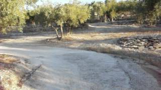 Homage to Dirk Bogarde in the olive groves of Provence [upl. by Sink988]