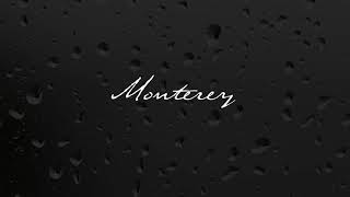 Covenhoven  Monterey lyric video [upl. by Rhoda]