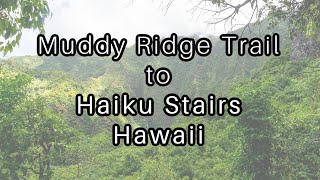 Muddy trail hike to Haiku Stairs Stairway to Heaven Hawaii [upl. by Huckaby]