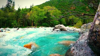 Beautiful Turquoise Mountain River Sounds  10 Hours of Relaxing Water amp Nature [upl. by Corron]