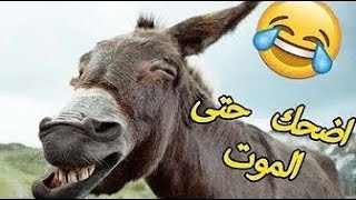 حاول ألا تموت من الضحك أفضل فيديو مضحك جدا الضحك حتي الموت  10😂😂 [upl. by Maker]