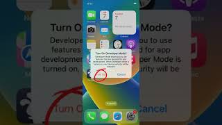 How can TutuApp work on iOS 16 [upl. by Bohlen161]