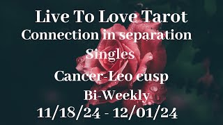 ♋️ Cancer ♌️ Leo cusp love reads❤️Can you work it out❤️ [upl. by Adnorat]