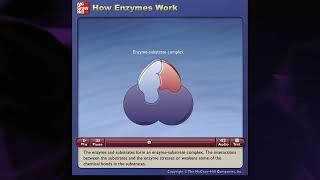 How Enzymes Work  McGraw Hill [upl. by Massimo]