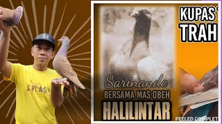 SEJARAH LAHIRNYA HALILINTAR TEAM DAN SARINANDE  FEAT MAS OBEH MAESTRO HALILINTAR [upl. by Adnoval]