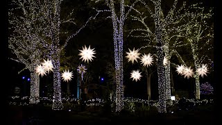 Holiday Traditions at Carowinds WinterFest [upl. by Annaik495]