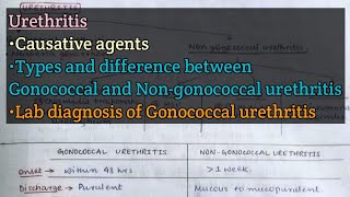 Urethritis  Causative agents  Gonococcal vs Nongonococcal urethritis  Gonococcal urethritis [upl. by Aicenet]