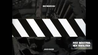 Die Warzau  Disco Rigido 1989 full album [upl. by Ennoryt]