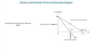 Elastic Inelastic Price amp Quantity Range [upl. by Yesdnil229]